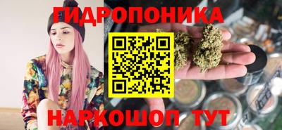 крисы Рузаевка