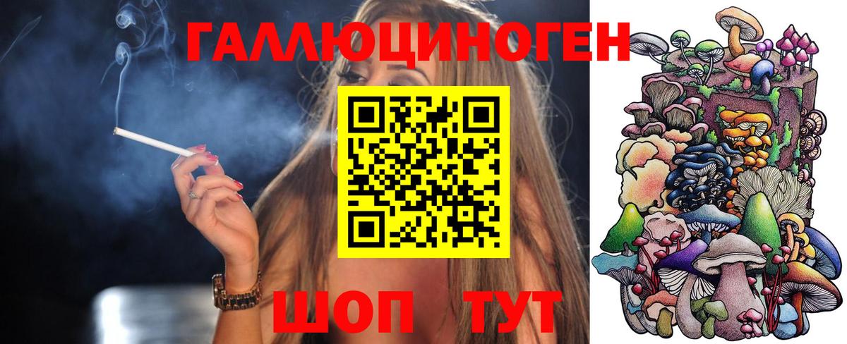 Рубцовск  наркотики  Вход с VPN  Псилоцибиновые грибы GOLDEN TEACHER 
